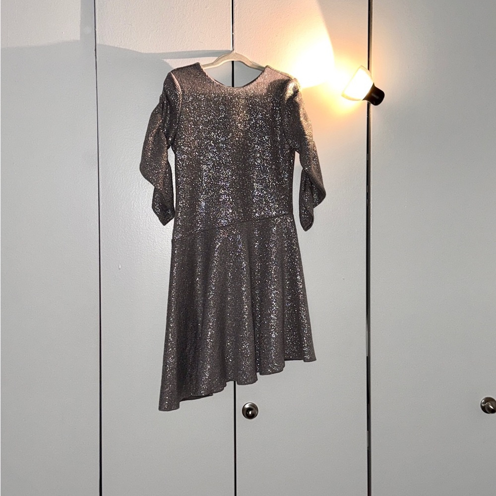 S20: Zoe LTD Silver Dress